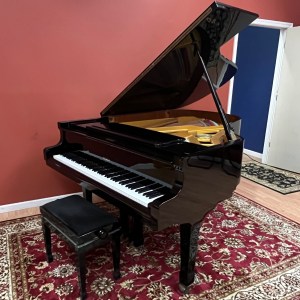 Petrof model III 6’4”. Ebony Polish.  Restored to like new condition.