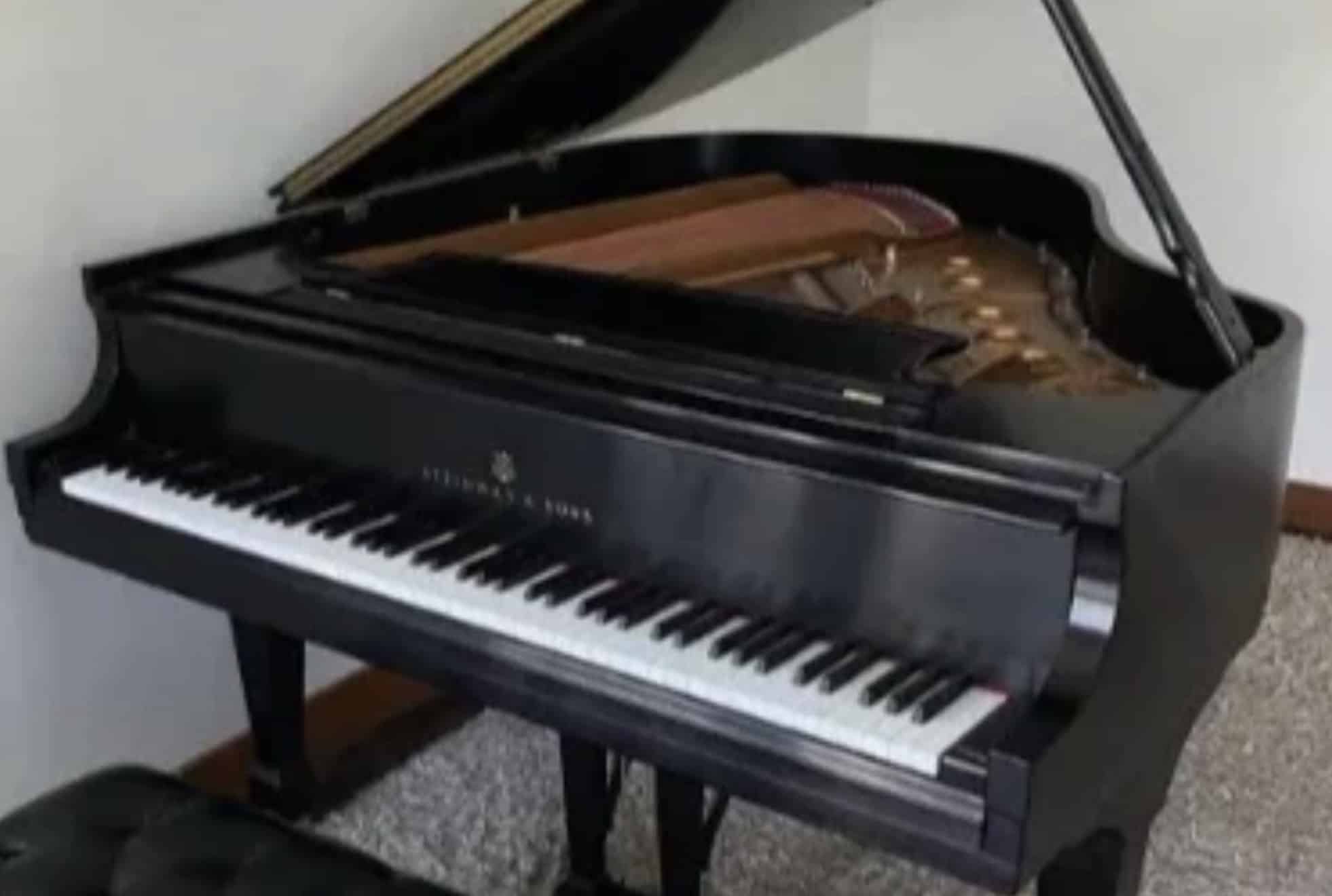 Steinway S 5’1” Baby Grand Piano - Image 5