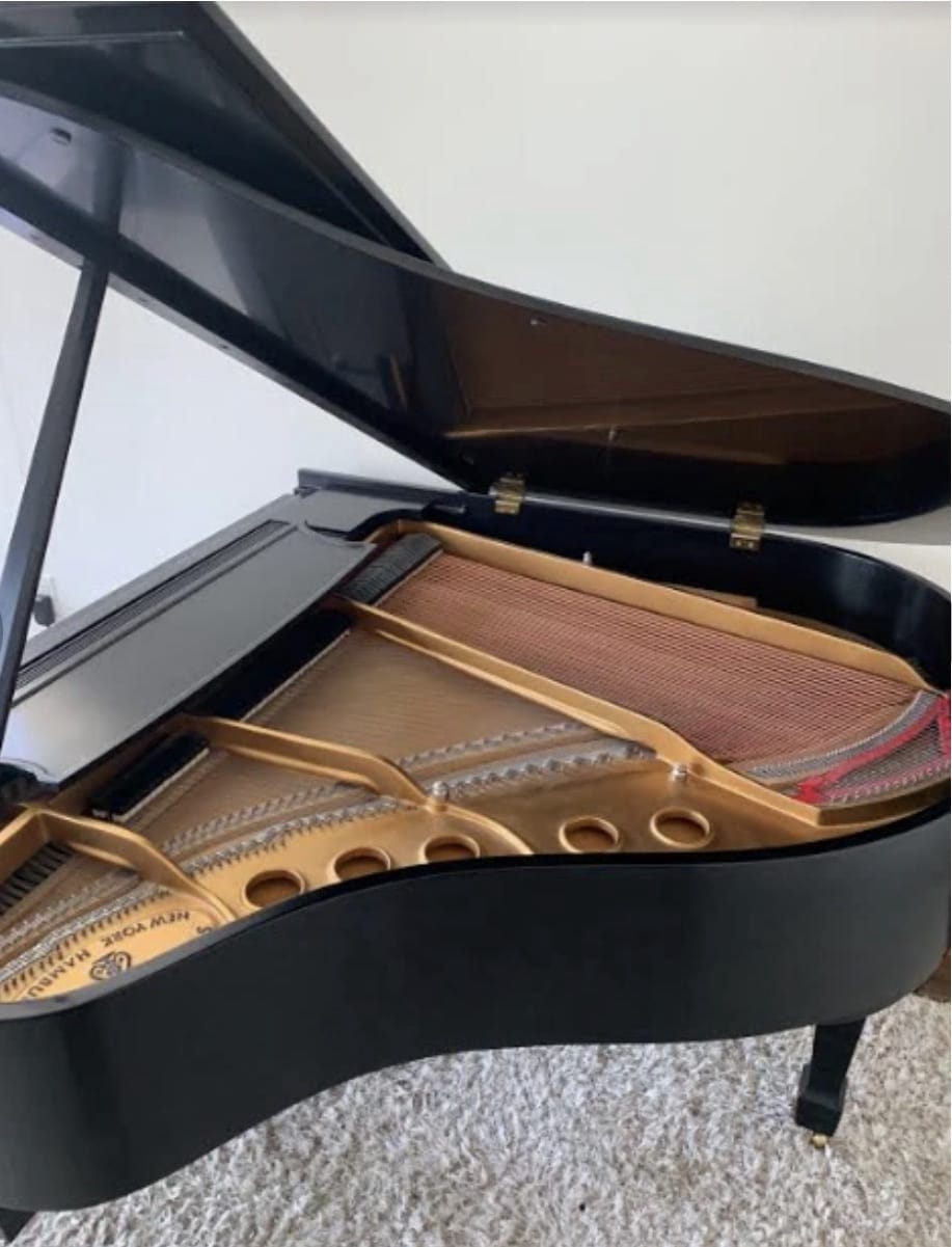 Steinway S 5’1” Baby Grand Piano - Image 3